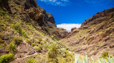 Kanyon Masca havadan görünümü