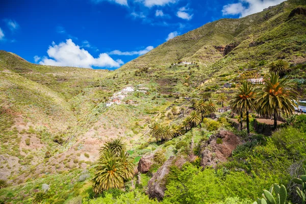 Schöne Landschaft mit Masca-Dorf — Stockfoto