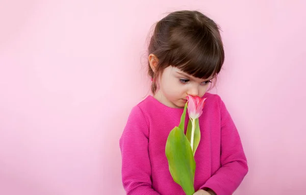 Söt Liten Flicka Rosa Klänning Sniffande Rosa Tulpan Rosa Bakgrund — Stockfoto