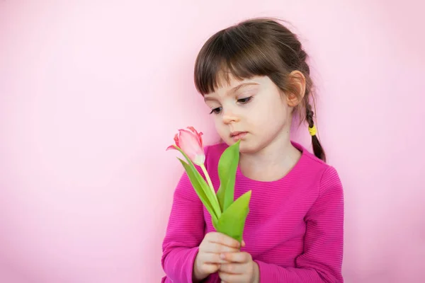 Sad Little Girl Pink Dress Holding Pink Tulip Pink Background — Stock Photo, Image