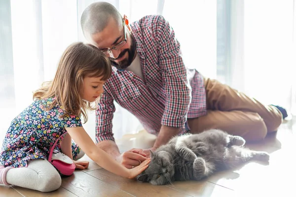 Bärtiger Vater Und Seine Kleine Tochter Streicheln Ihre Liegende Graue — Stockfoto