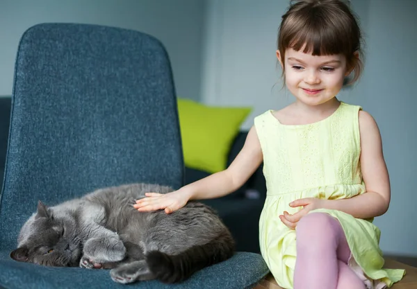 Nettes Kleines Mädchen Streichelt Ihre Graue Britische Katze — Stockfoto