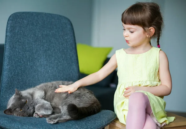 Nettes Kleines Mädchen Streichelt Ihre Graue Britische Katze — Stockfoto