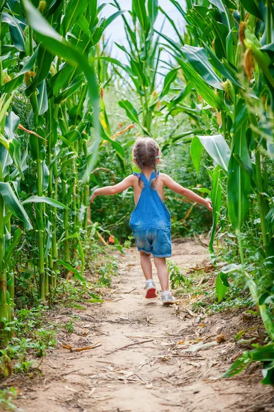 Petite Fille Jouant Fuir Dans Champ Maïs Parmi Les Plantes — Photo