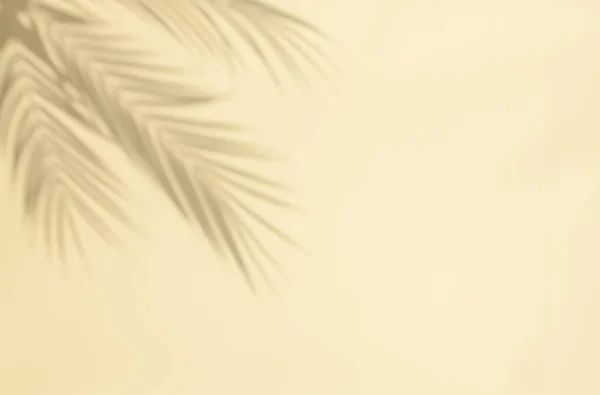 파스텔 베이지의 배경에는 야자나무 그림자가 있습니다 야자나무 그림자의 노골적 중립적 — 스톡 사진