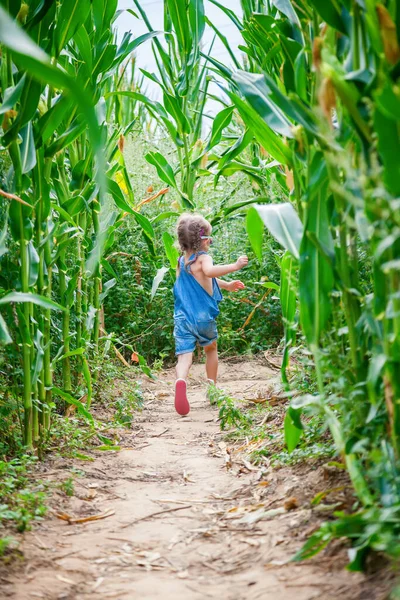 Petite Fille Enfuyant Dans Champ Maïs Parmi Les Plantes Hautes — Photo