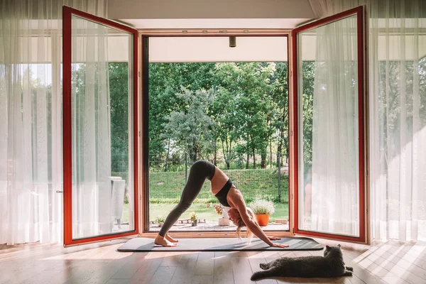 Woman Standing Downward Dog Position Front Opened Window While Doing — 图库照片