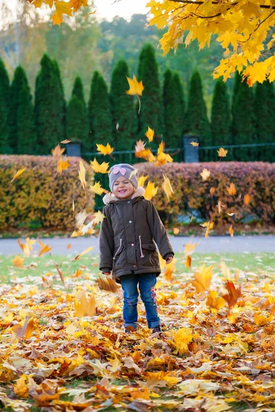 Мила Річна Дівчинка Яка Грає Осінньому Парку Осіннє Листя Осінь — стокове фото