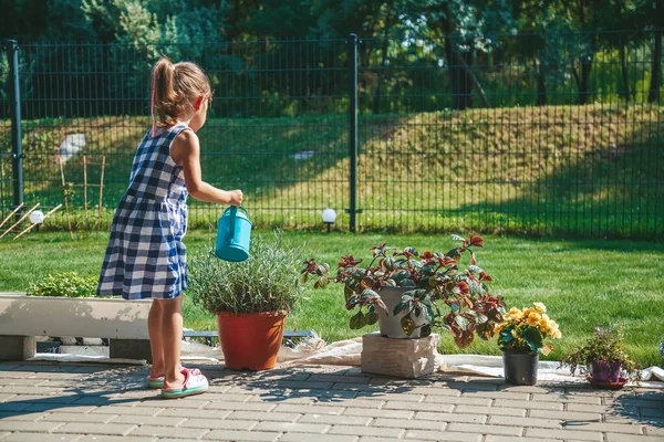 Menina Llittle Bonito Anos Idade Vestido Xadrez Azul Regando Plantas — Fotografia de Stock