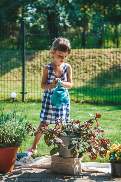 Menina Llittle Bonito Anos Idade Vestido Xadrez Azul Regando Plantas — Fotografia de Stock