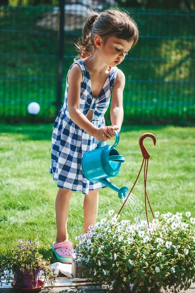 Linda Chica Llittle Vestido Cuadros Azul Regando Las Plantas Una —  Fotos de Stock