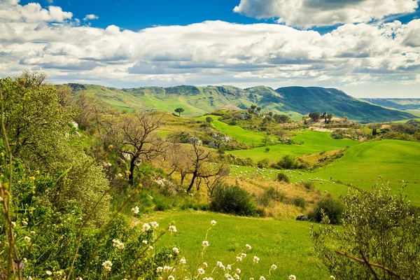 Pasture in de centrale Sicilië, Italië — Stockfoto