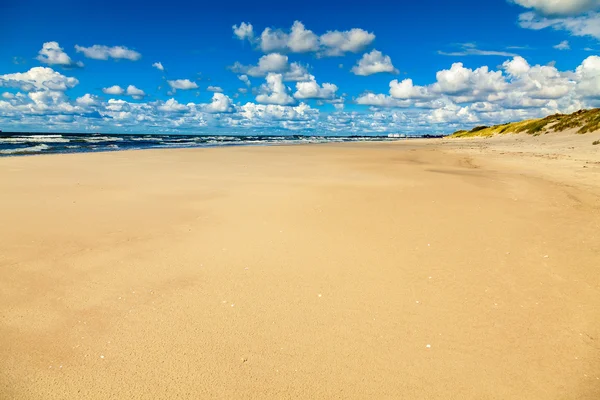 Våta stranden vid Östersjön — Stockfoto