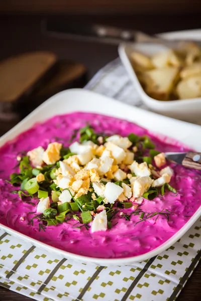 Lithuanian cold beetroot soup — Stock Photo, Image