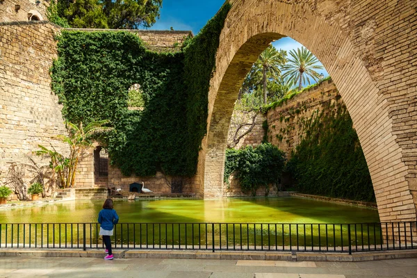 Lo stagno vicino alla chiesa cattedrale di Palma — Foto Stock