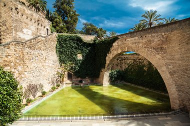 su birikintisi Palma Katedrali'ne yakın