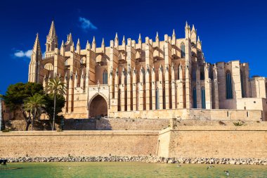 Palma Katedrali'ne