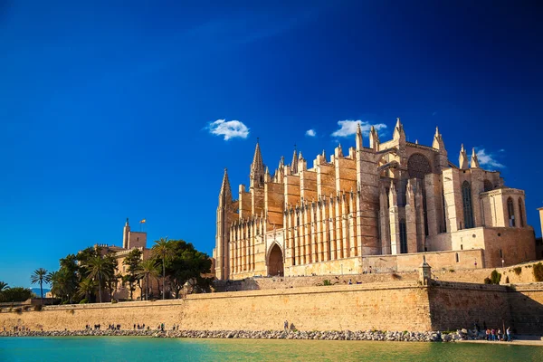 Cathedral La Seu — Stock Photo, Image