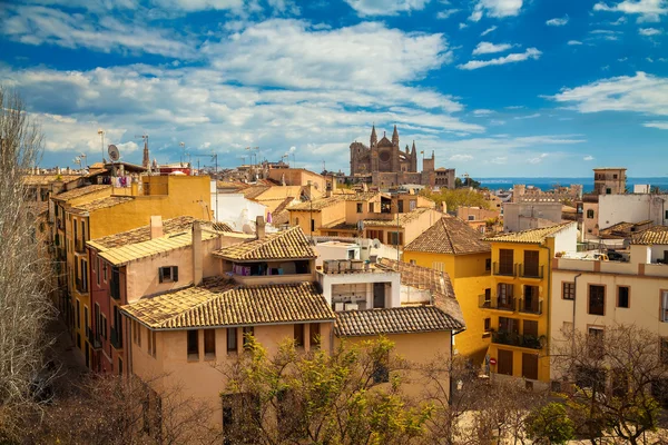 Casas residenciales y la Catedral de Palma —  Fotos de Stock