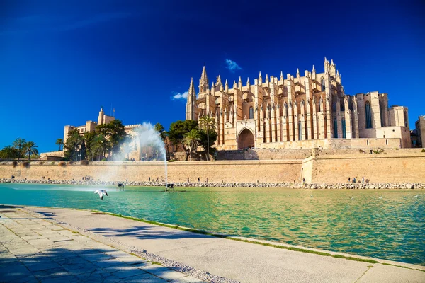 Palma Katedrali'ne olarak da bilinen La Seu — Stok fotoğraf