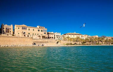 palma Merkezi parc del mar