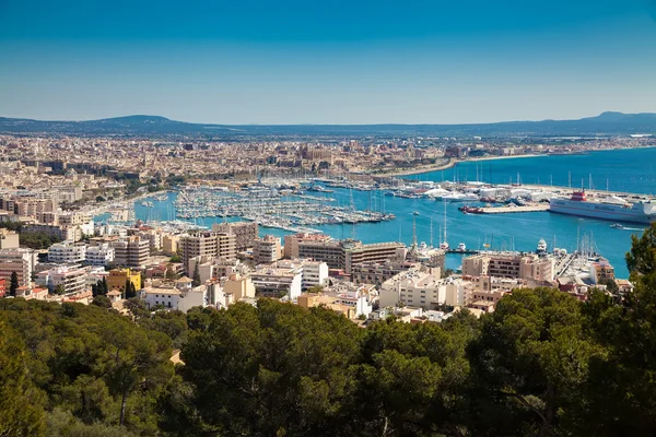 Palma de mallorca bağlantı noktası — Stok fotoğraf