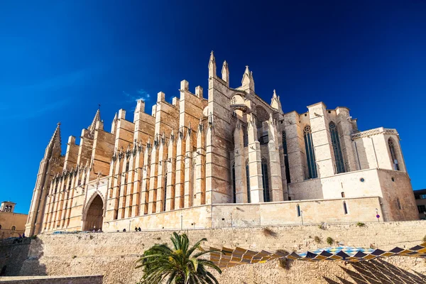 The majestic Palma Cathedral — Stockfoto