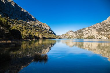 Panta de Gorg Blau, Mayorka