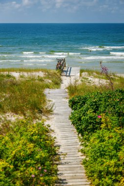 Uzun kıyı çimenleri ve sık çalılar arasında süzülen tahta yolun dikey görüntüsü, parlak bir yaz gökyüzü altında yumuşak dalgaların kırıldığı kumlu Baltık Denizi sahiline iniyor.
