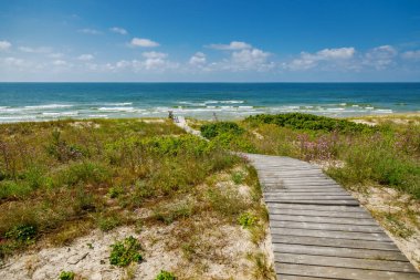 Tahta kaldırım yolu, yabani çimenler ve çiçeklerle kaplı kumulların arasından Curon tükürüğündeki parlak gökyüzünün altında, mavi Baltık Denizi 'ne doğru kıvrılarak yolculuğu ve ekolojik korumayı simgeliyor.