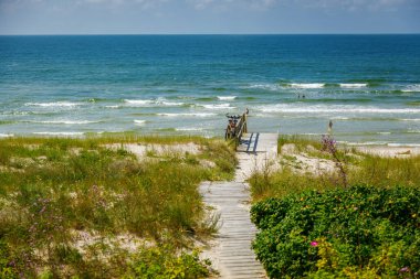 Kum tepecikleri ve kır çiçeklerinden geçerek Baltık Denizi 'ne çıkan tahta tahta kaldırım yaz turizmi veya Litvanya seyahati ve doğa tatili konsepti için Curonian Spit' e gider.