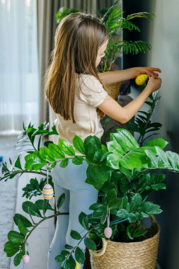 Süslü sarı ve pembe yumurtaları zamioculcas 'a asan küçük çocuk, şenlikli ev hazırlıkları ve mevsimlik aile geleneğinin bir parçası olarak oturma odasına dallar dikiyor.