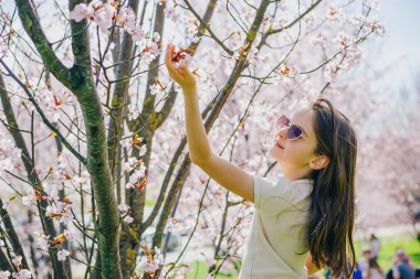 Güneşli parkta sakura çiçeklerine hayran olan, bahar tatili ve doğa takdir konsepti için şık güneş gözlüğü takan ve günlük kıyafetler giyen küçük bir çocuk.