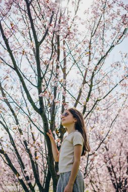 Bahar bahçesinde çiçek açan kiraz ağaçlarının arasında duran küçük kız. Pembe çiçekler ve doğa ve çocukluk dönemi kavramları için parlak güneş ışığı.