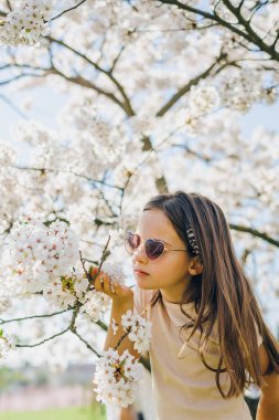 Uzun saçlı küçük çocuk çiçek açan sakura ağaçlarına hayranlık duyuyor. Mavi gökyüzünün altında yaşam tarzı blogları ve bahar sezonu reklam kampanyaları için kullanılıyor.