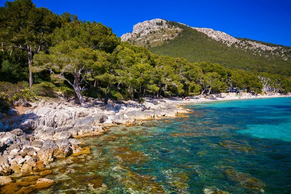 At the beach Cala Pi de La Posada — Stock Photo, Image