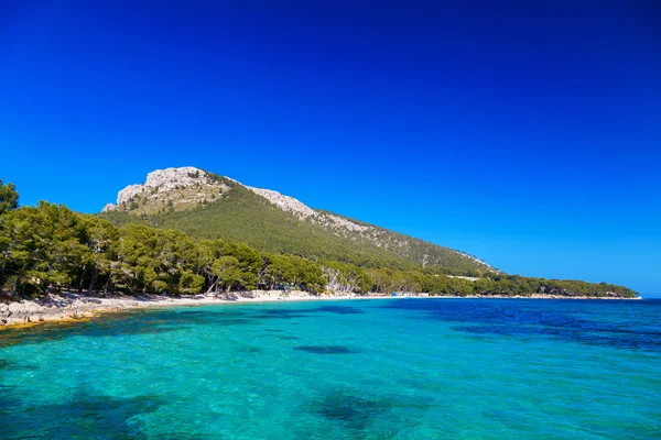 Güzel bir plaj Cala Pi de La Posada — Stok fotoğraf