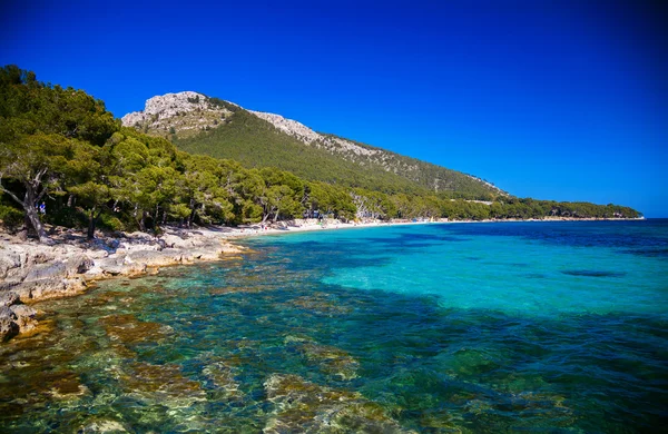 Lunga spiaggia Cala Pi de La Posada — Foto Stock