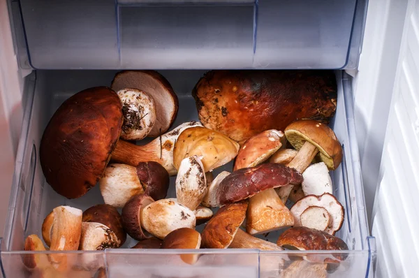 Frozen porcini — Stock Photo, Image