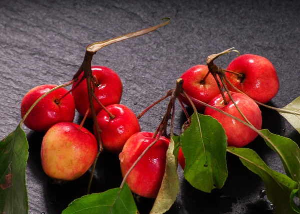 Paradisaical apples — Stock Photo, Image