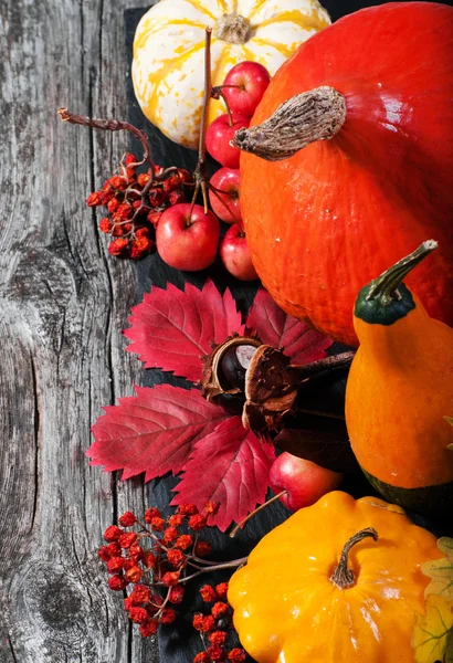 Geerntete Kürbisse mit Herbstblättern — Stockfoto