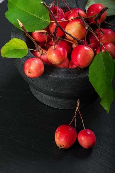 Paradisaical apples — Stock Photo, Image