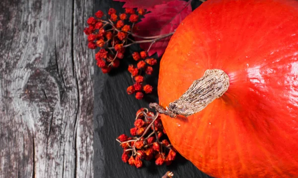 Geerntete Kürbisse mit Herbstblättern — Stockfoto