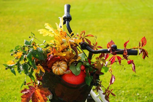 Bicicleta con una cesta llena de calabazas y hojas otoñales — Foto de Stock