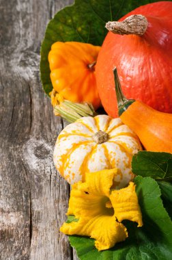 ahşap arka plan üzerinde kabaklar