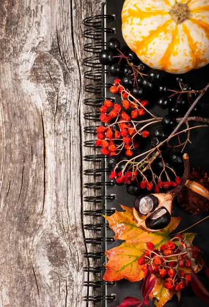 Autumnal menu — Stock Photo, Image