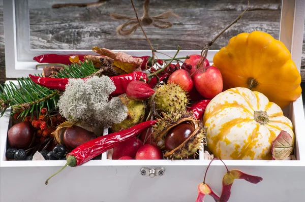 White box with pumpkin and other autumn settings — Stock Photo, Image