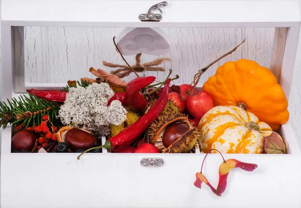 White box with pumpkins and other autumn vegetables — Stock Photo, Image