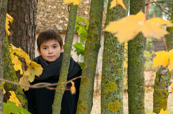 Podzimní portrét krásného chlapce, kavkazská — Stock fotografie