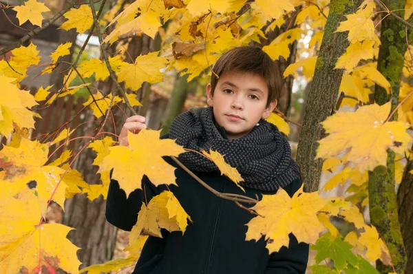 Autumn portrait of beautiful caucasian boy — Stock Photo, Image